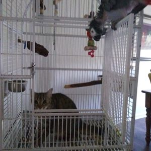 Meet your Posher, Carolin